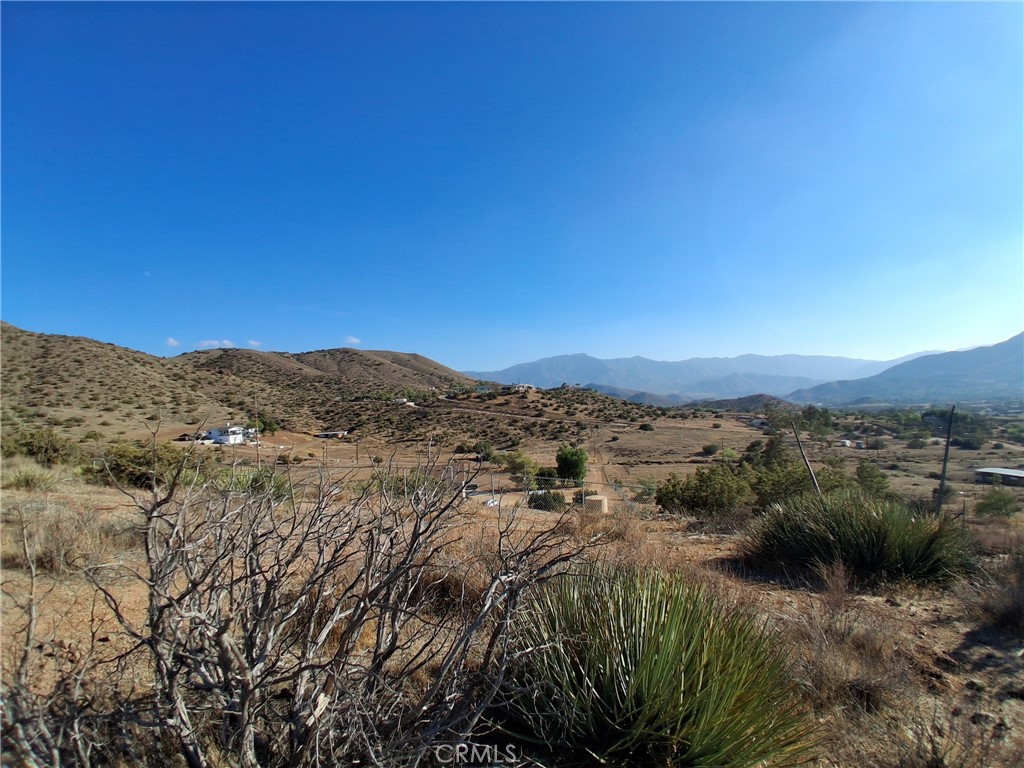 Custom Acton (CACTO) - Land