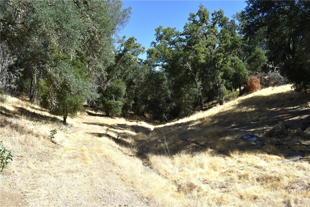 PR Bryson/Hesperia(210) - Residential