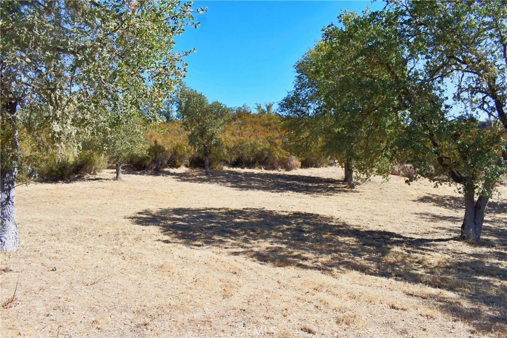 PR Bryson/Hesperia(210) - Residential