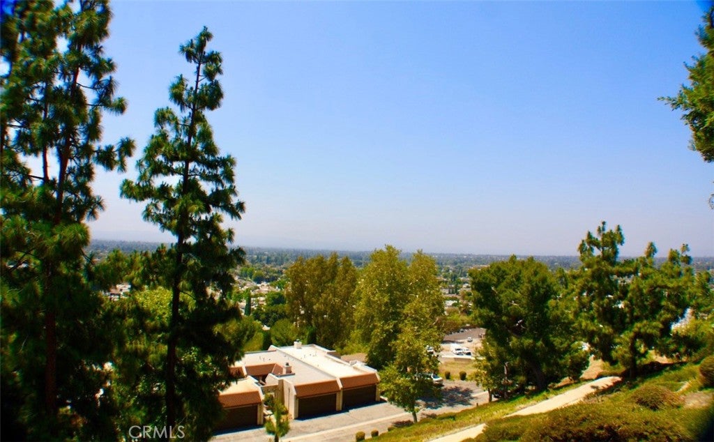 15656 Viewridge