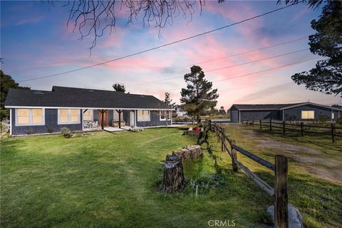 Photo of 4329 Amador Rd, Phelan, CA 92371 (MLS # CV26033090)