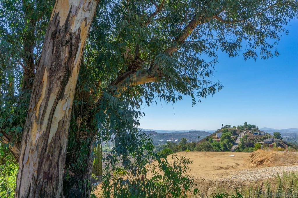 North Escondido - Land