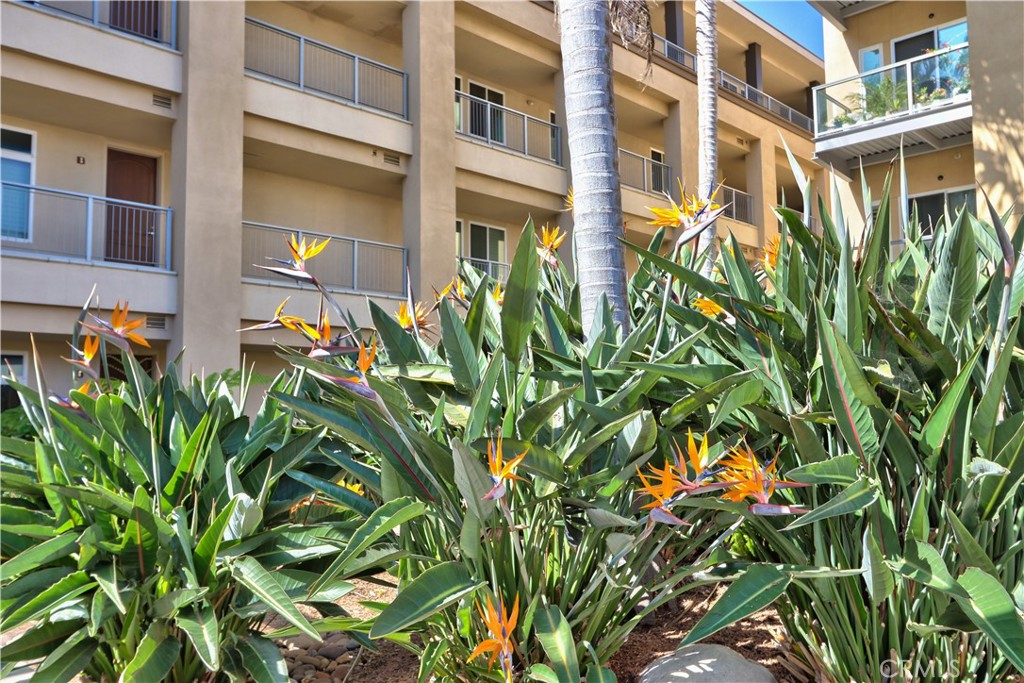 Oceanside - Residential Lease