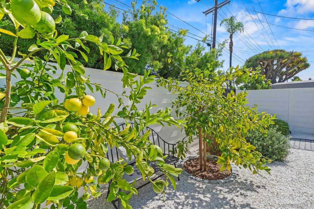 Coronado Village - Residential