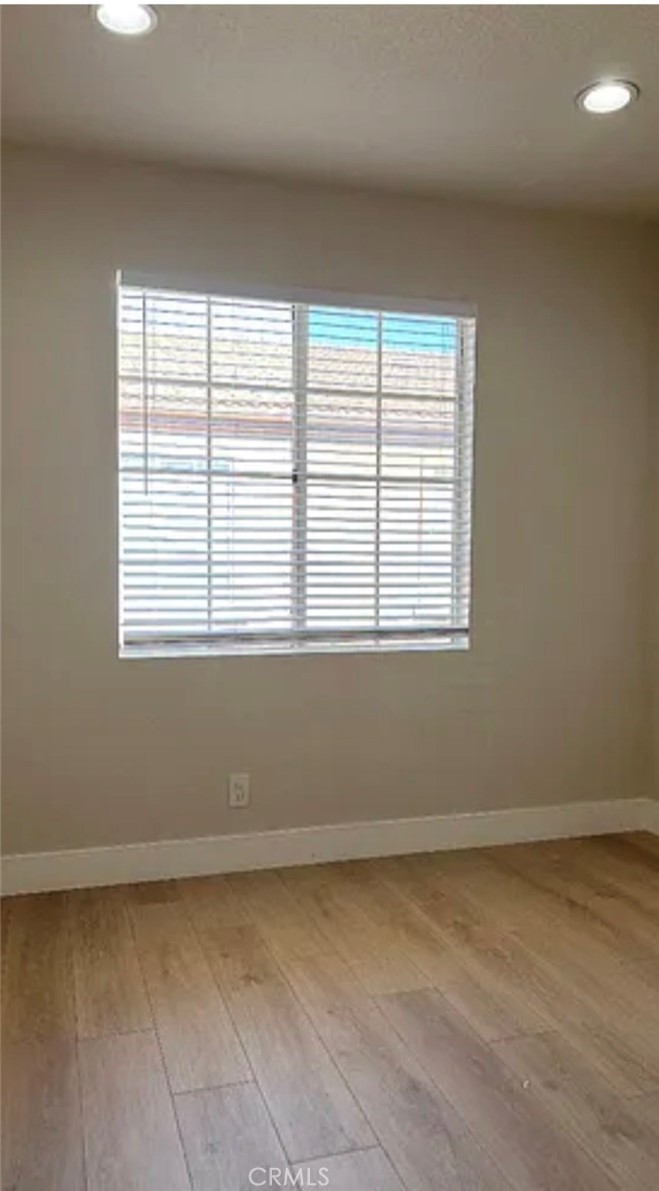 24241 Madison