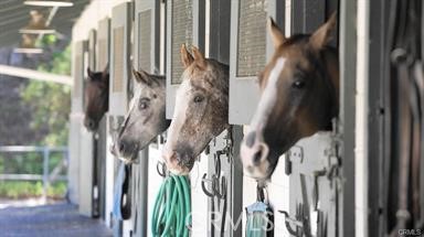 Leisure World (LW) - Residential