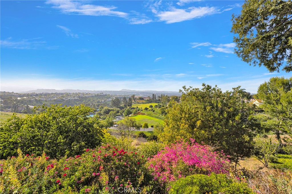 29155 Bobolink, Laguna Niguel CA 92677 - Photo 55