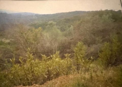 Photo of 0 Croy Ridge Road, Morgan Hill, CA 95037 (MLS # ML82045390)