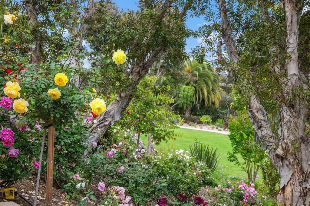 Rancho Santa Fe - Residential