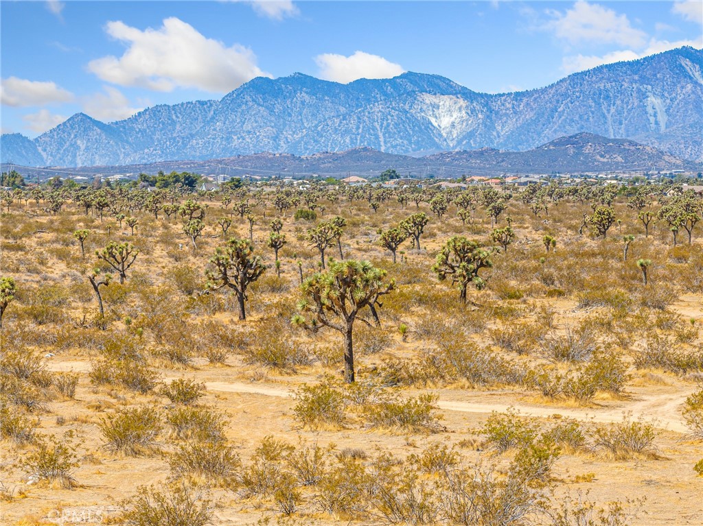 Beautiful View Property! 10-acres of investment property in developing Phelan, CA. Zoned Rural Living (RL) giving investors more opportunities of different developments. Easy access to main streets, town, local schools, highways, & freeway. Growing community. Keep all 10-acres for yourself, or develop your investment. Victorville City Water & electric on main road. Homes in area on central heating! Invest Today!