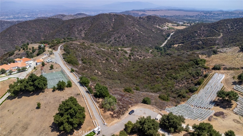 20242 Avenida de los Arboles