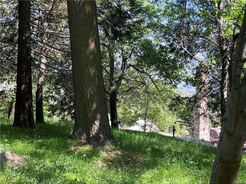 Sky Forest (SKYF) - Residential