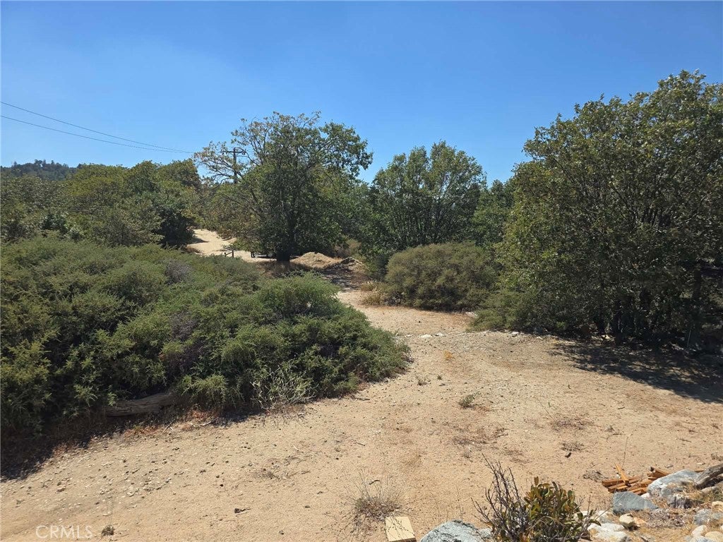 718 Cypress Road