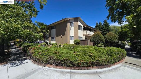 Photo of 4600 Eggers Dr, Fremont, CA 94536 (MLS # 41140601)