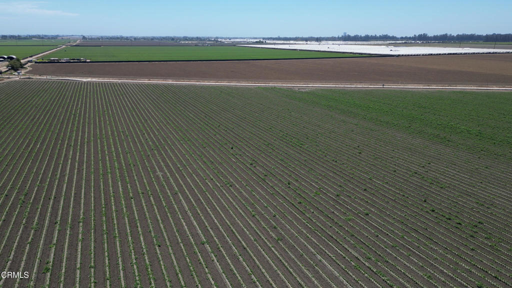 206+/- Acres of Prime Ventura County Farmland located in close proximity to the 101 Freeway and Highway 118. Fully Tiled and Laser Leveled, Renovated 1200 sq ft Home and Large Ag Barn. Historically Leased for Berries, currently it is being farmed in Vegetables. Two Active Private Wells. 205 Acres actively leased and producing.