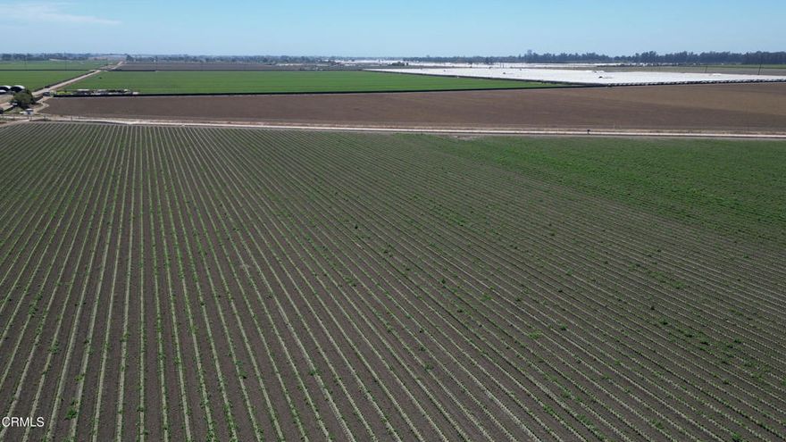 206+/- Acres of Prime Ventura County Farmland located in close proximity to the 101 Freeway and Highway 118. Fully Tiled and Laser Leveled, Renovated 1200 sq ft Home and Large Ag Barn. Historically Leased for Berries, currently it is being farmed in Vegetables.  Two Active Private Wells. 205 Acres actively leased and producing.