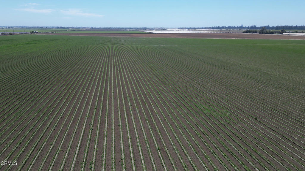 Camarillo Central: Other - 41 - Land