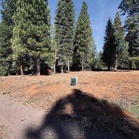 Photo of 758 Red River Drive, Lake Almanor, CA 96137 (MLS # ML82041125)