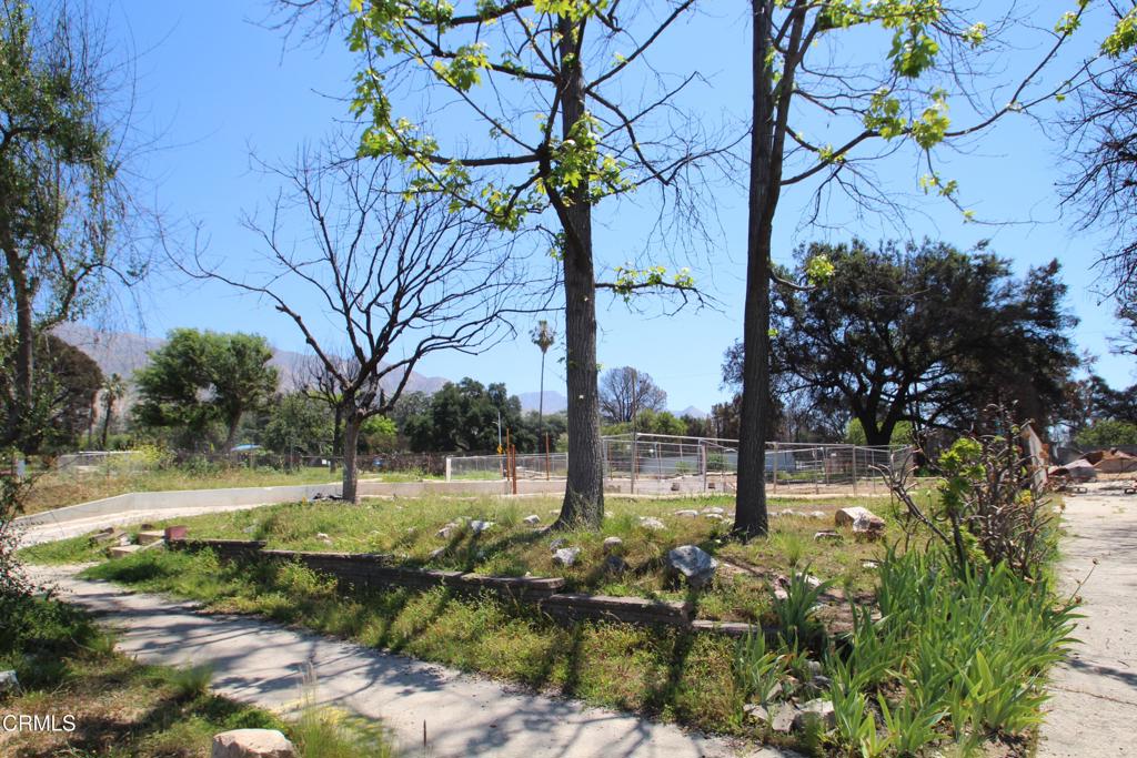Properties 1 2688 McNally Avenue