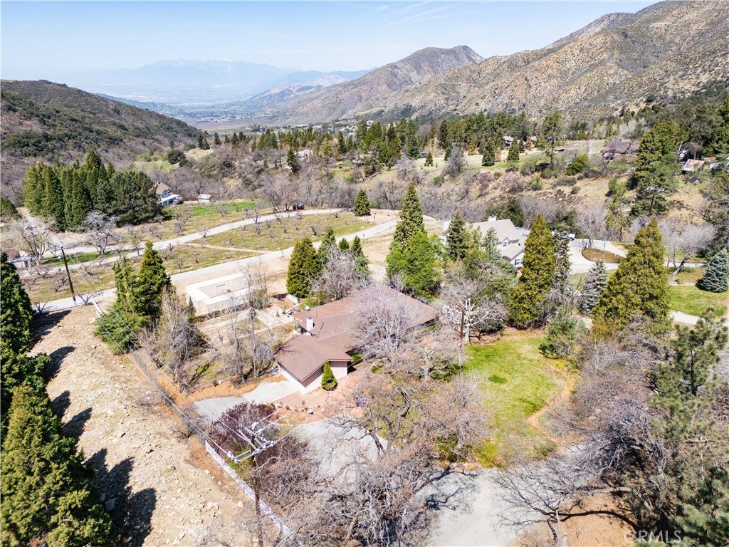 39285 Snowline