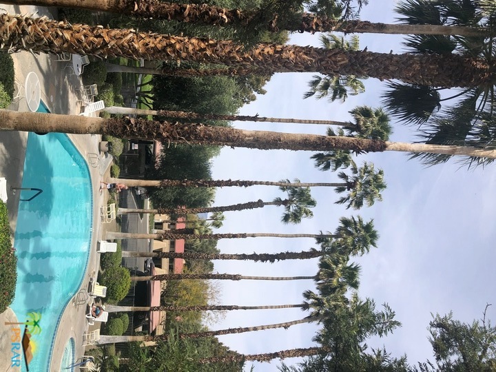 Palm Sp Villas II - Residential