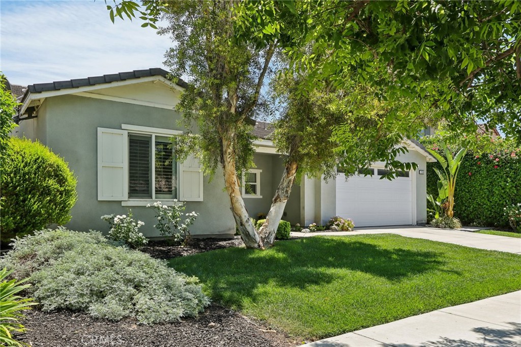 7136 Stockton Drive
