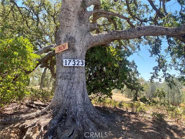 Great location in Tehama County near Chico, Corning, Orland and Red Bluff, with easy access to Hwy 5 and a few hours drive to Oregon. Great opportunity to invest in country property yet close to all ammenities.