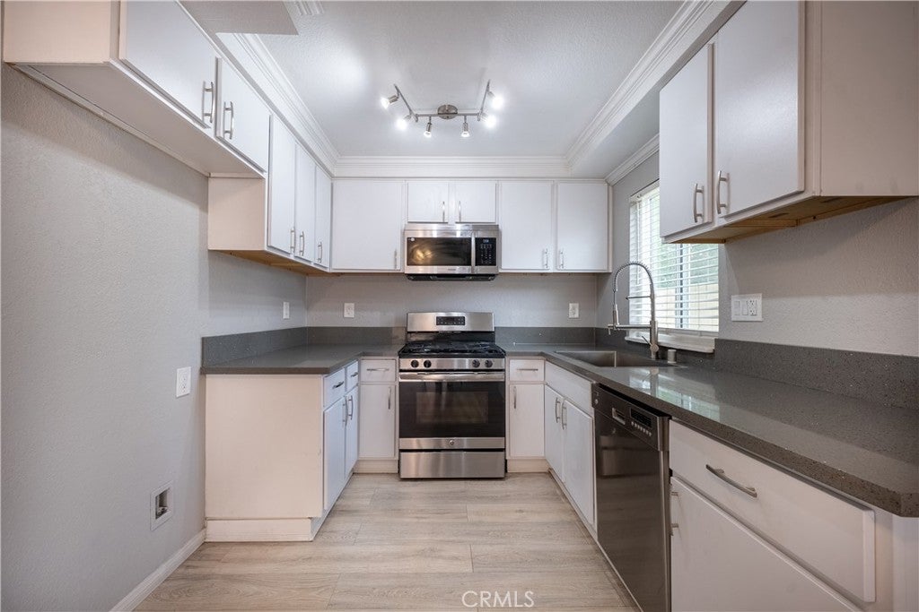 16262 Tokay