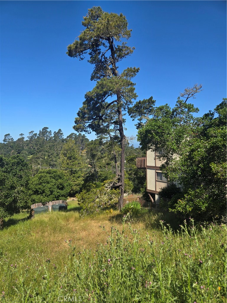 #301 on CCSD water list. Beautiful double lot with gentle downslope in quiet Lodge Hill neighborhood. Located on upper paved portion of Pierce. Forest views and peek-a-boo ocean views, plenty of wildlife. Buy and hold until moratorium is lifted. Come drive by and see if it's meant for you!