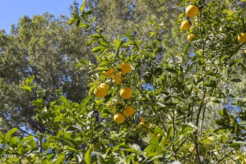 Tiny photo for 669 Villa Adobe, Camarillo, CA 93012 (MLS # V1-39398)