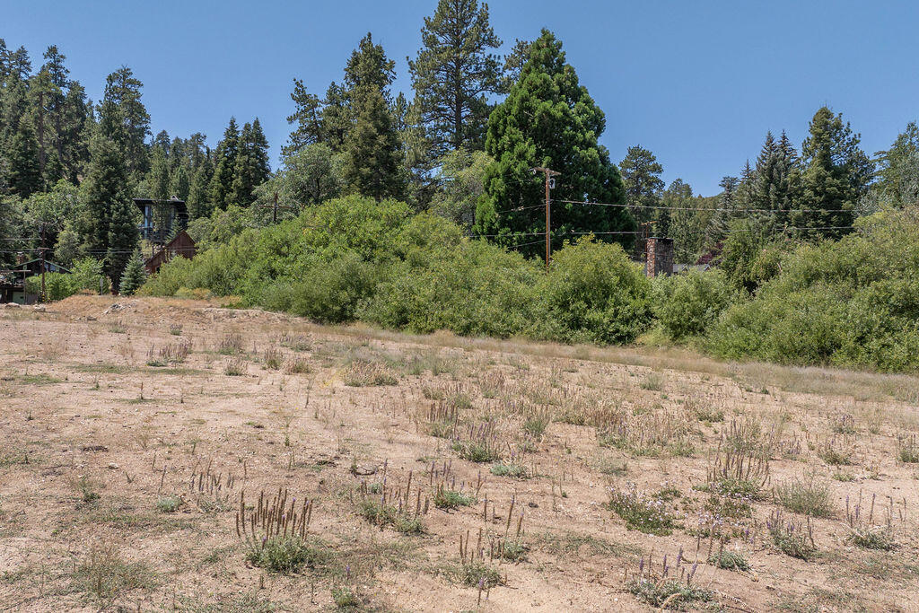 Not Applicable-1 - Land