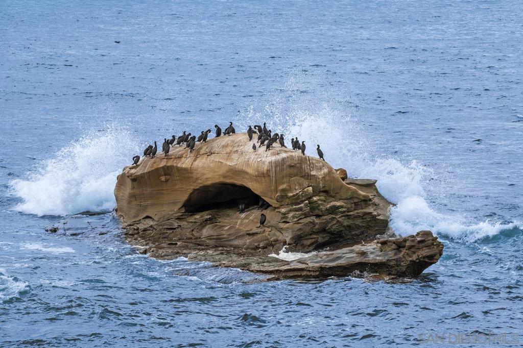 La Jolla - Residential