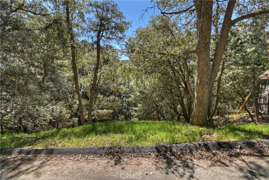 23491 Short Way