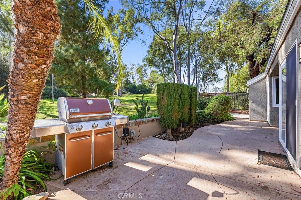 29881 White Otter, Laguna Niguel CA 92677 - Photo 50