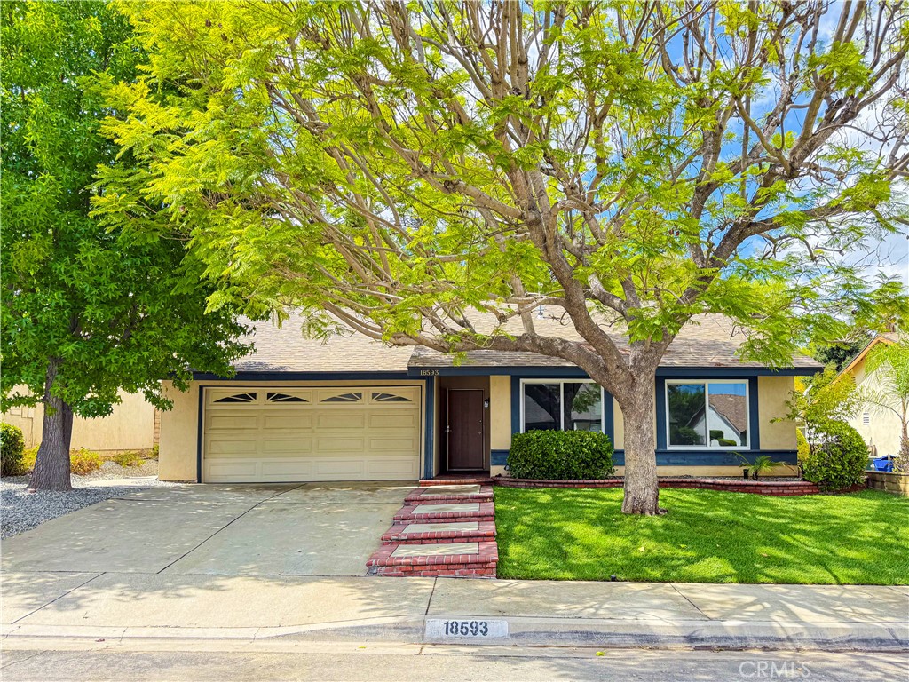 Nestled in a quiet neighborhood of Rowland Heights, this inviting single-family home sits on nearly a quarter-acre lot with a private pool and spacious backyard, perfect for entertaining or relaxing under the California sun. The home offers 3 bedrooms and 2 bathrooms across approximately 1,202 sq. ft., featuring a bright and functional layout.
Single-story home with no stairs – easy living for all ages
LARGE 10,890 sqft lot –ideal for entertaining, future expansion, and more private outdoor living
3 bedrooms, 2 bathrooms plus an ADDITIONAL poolside bathroom with shower(buyer to verify permits)
Beautiful PRIVATE POOLl and spacious backyard – ideal for gatherings and relaxing
Fully renovated interior – modern, fresh, and move-in ready
Brand-new, high-end kitchen appliances – stylish and functional
French doors and vaulted ceilings – filled with natural light and charm
Perched on a hillside with open views – peaceful and private setting
NO-HOA-FEES – more freedom and lower long-term costs
The dining area boasts large floor-to-ceiling windows that open directly to the backyard, creating seamless indoor-outdoor living and filling the home with natural light. With central A/C, generous yard space, and close proximity to schools, shopping, and major freeways, this property is ideal for both comfortable everyday living and long-term investment.