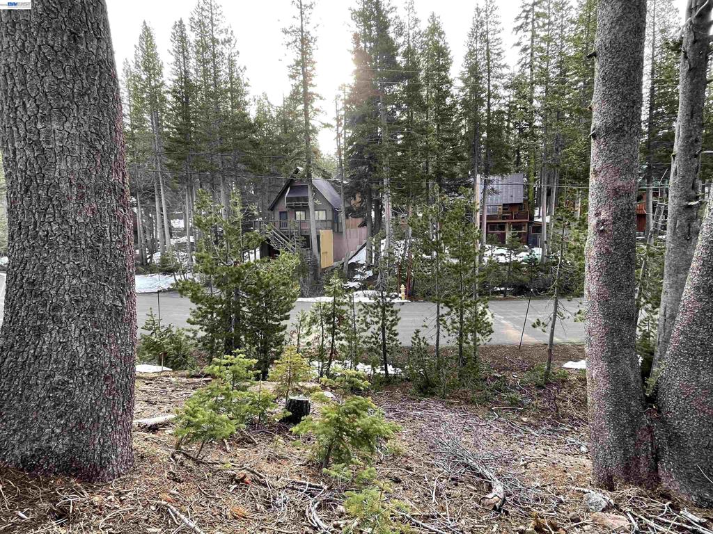 7217 Palisade Road