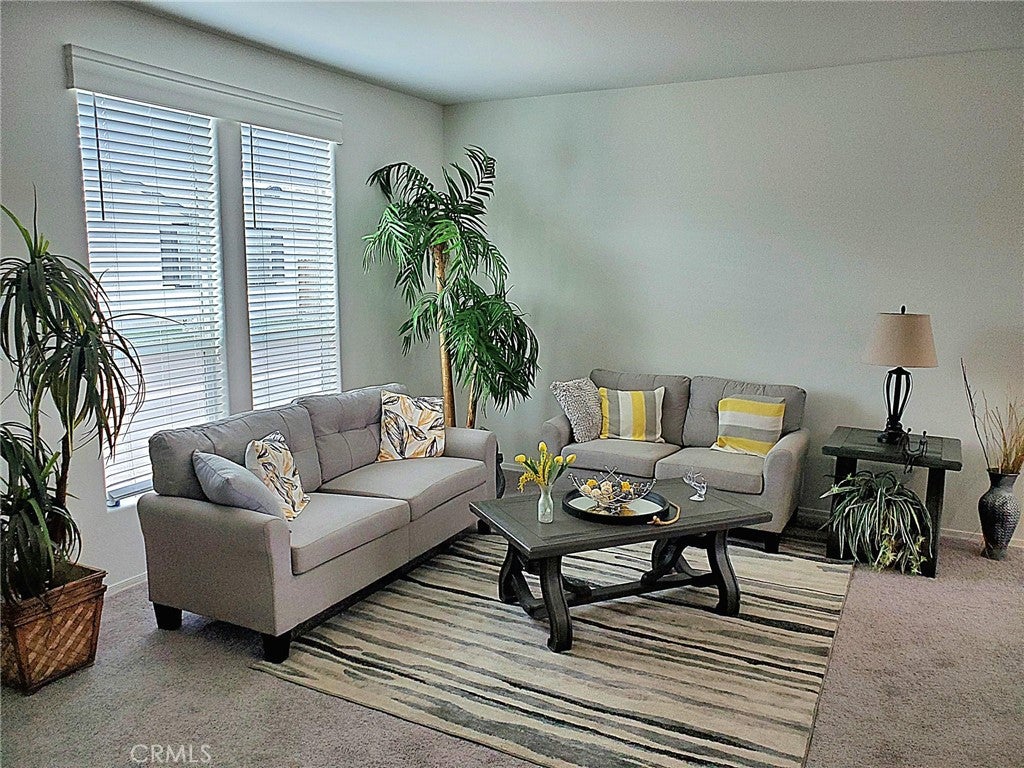 21621 Sandia Road 138