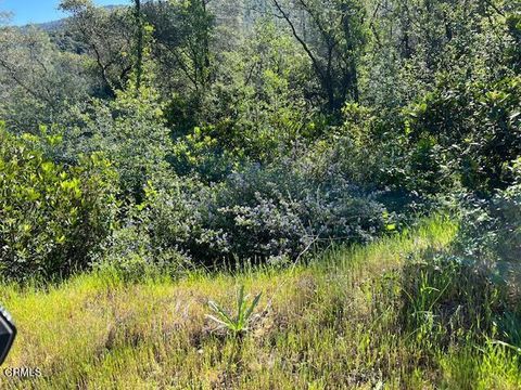 Photo of 0 Rocky Top Road, Oroville, CA 95965 (MLS # V1-35599)