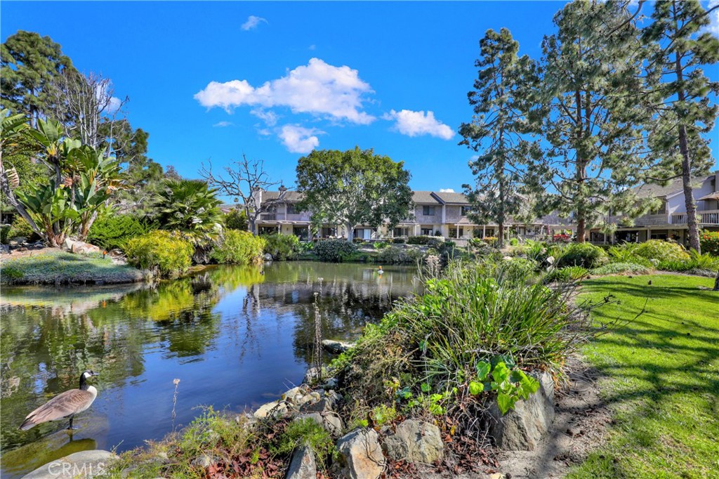 Mill Pond (MP) - Residential Lease