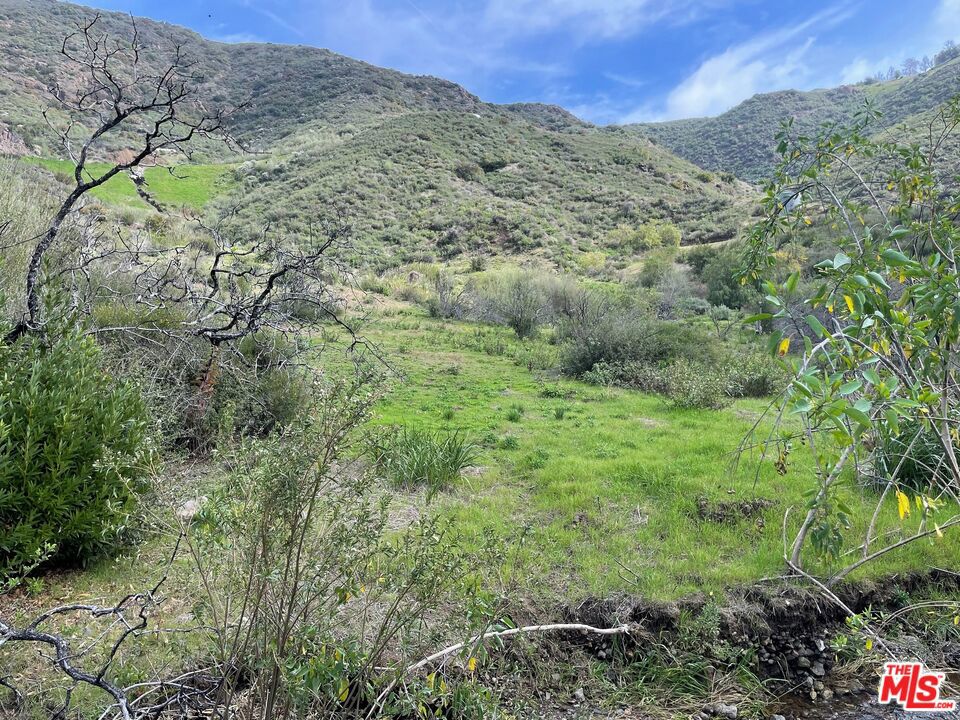 5 Acres nestled in a lush greenbelt valley at the rural west end of Malibu. Country living at Its Purest. Rare opportunity to own approximately 5 acres in one of Malibu's most serene and private settings. This expansive parcel offers a truly idyllic lifestyle just minutes from Leo Carrillo Beach and the untouched beauty of Malibu's pristine coastline. The property features ample useable land, studded with majestic oak trees and seasonal streams, creating a rich natural habitat perfect for those seeking tranquility, space, and a connection to nature. Surrounded by open space and rolling hills, you'll enjoy endless hiking, exploring, and riding trails, with parklands and dedicated paths just moments away. Previous planning includes Approval in Concept for a 6,280 sq ft home (expired), Approved Preliminary Fuel Modification Plan (expired), Perc Test and Preliminary Geology completed in 2007. This land is ideal for those dreaming of building a custom estate in one of Malibu's last remaining rural enclaves. Easy to view and situated next to 33874 Mulholland, this is a great opportunity to treat your land buyers to something truly special. Note: As with all vacant land, agents and buyers view at their own risk.