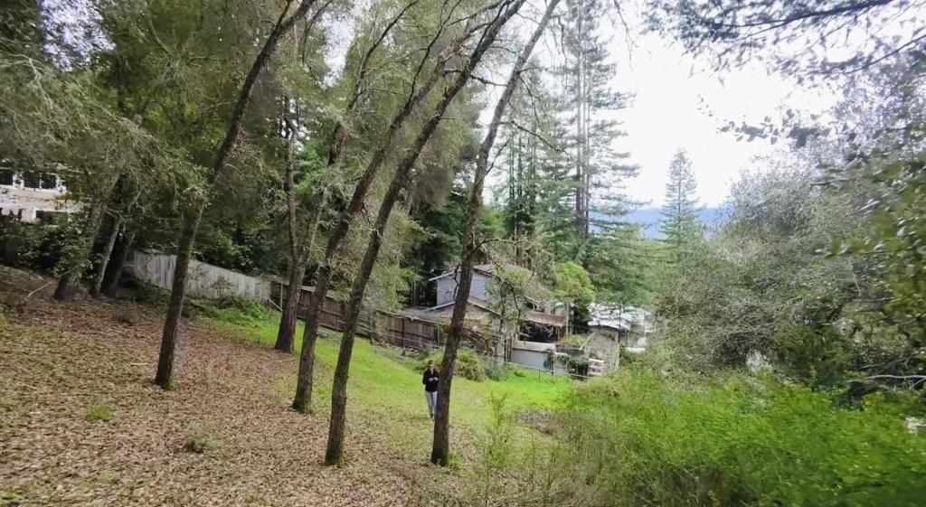 15971 Forest Hill Drive