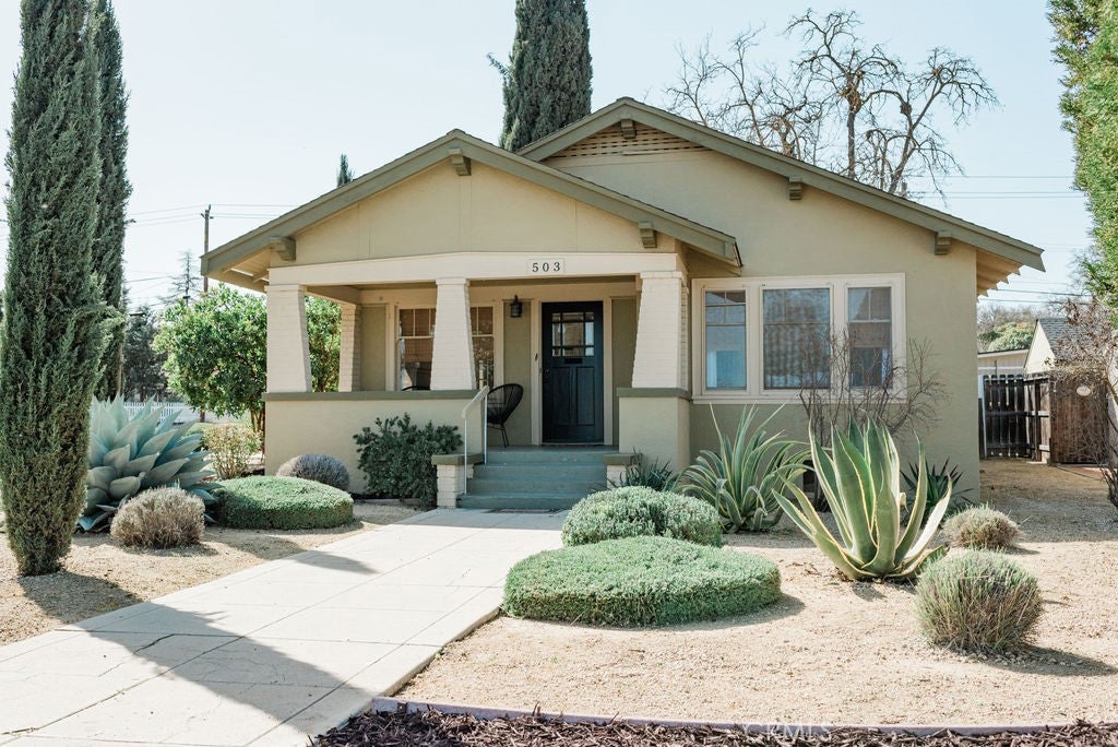 503 Oak