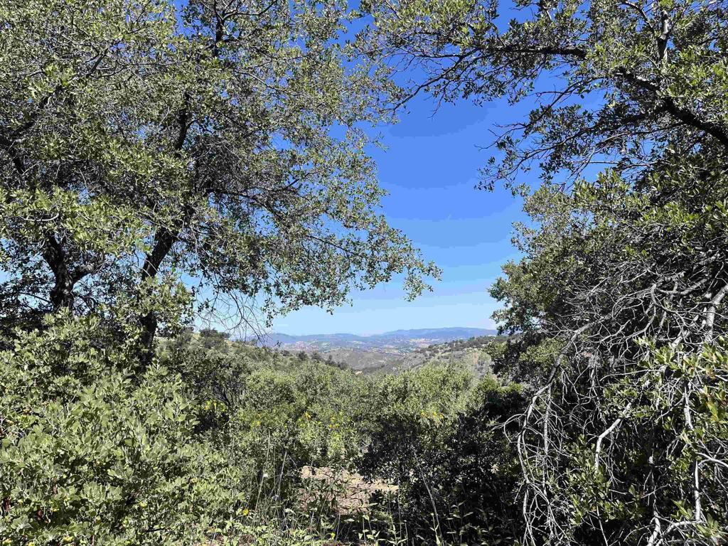 3890 Eagle Ridge