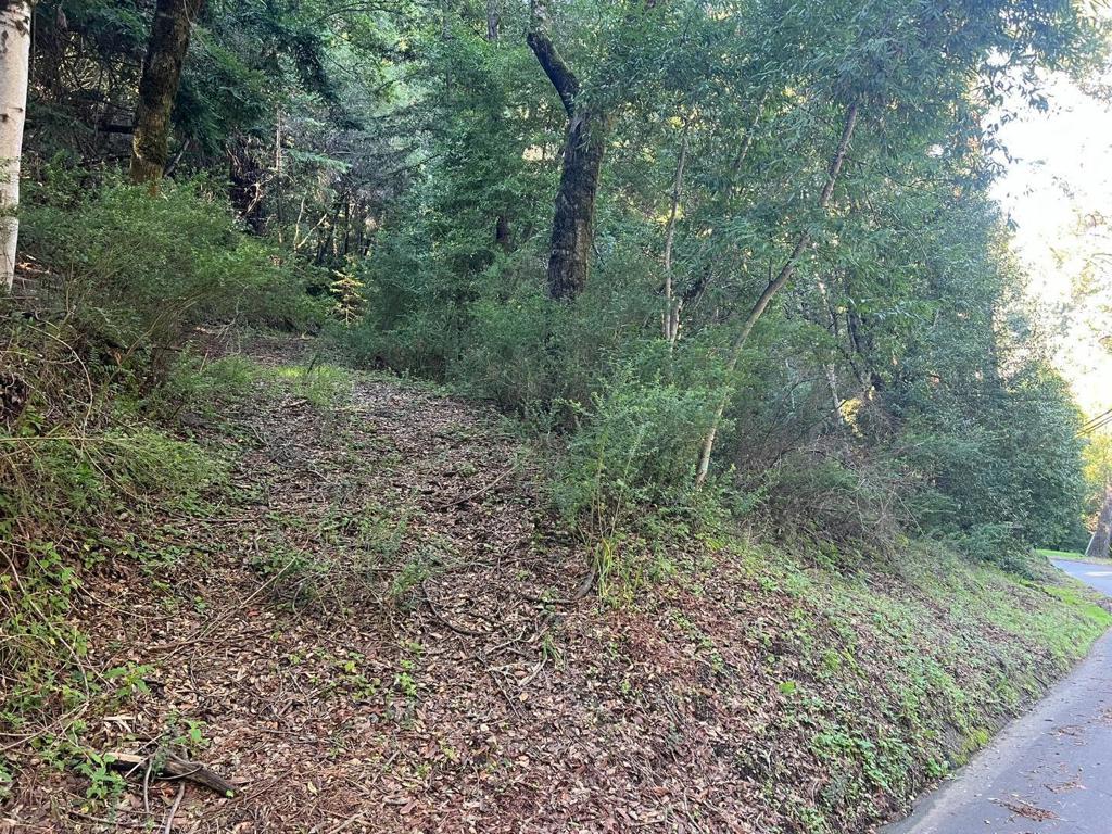 559 Patrol Road