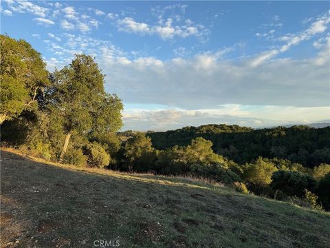 Tiny photo for 1545 Willow Creek Rd, Paso Robles, CA 93446 (MLS # NS26029726)