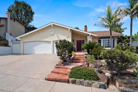 13255 Mango Drive Del Mar CA 92014
