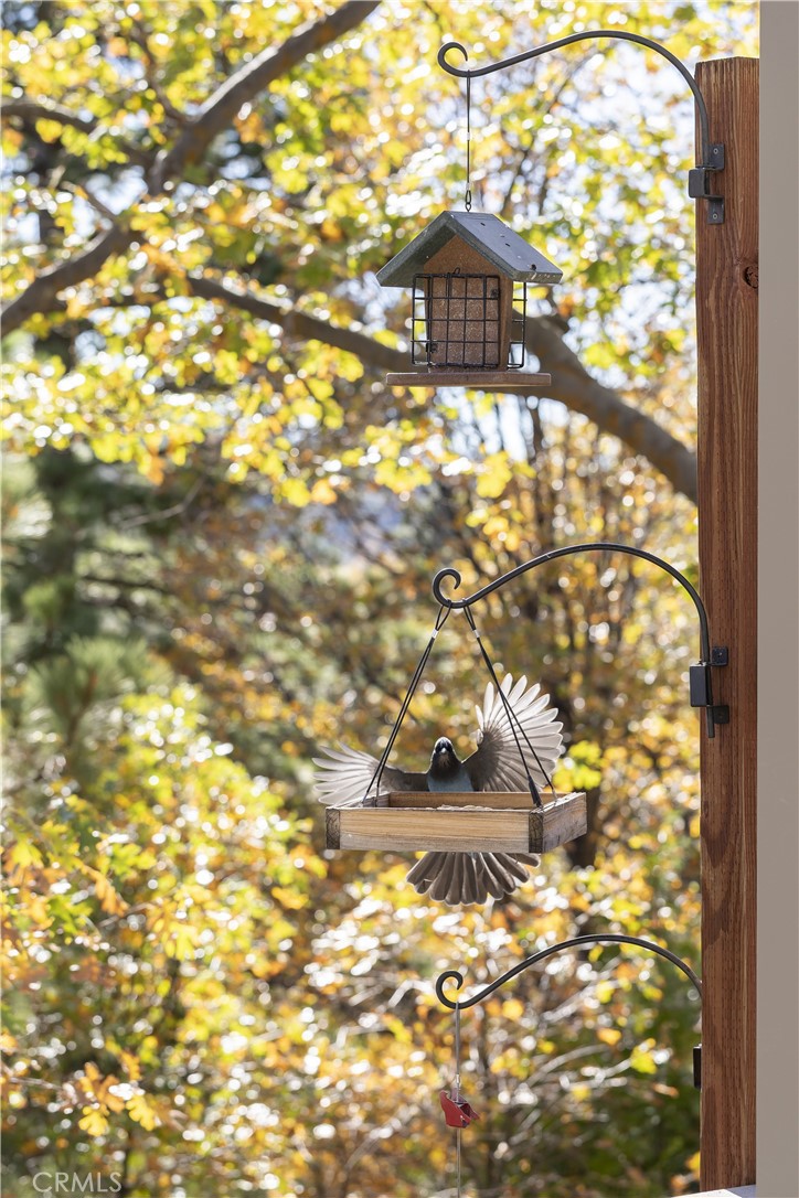 Arrowhead Woods (AWHW) - Residential