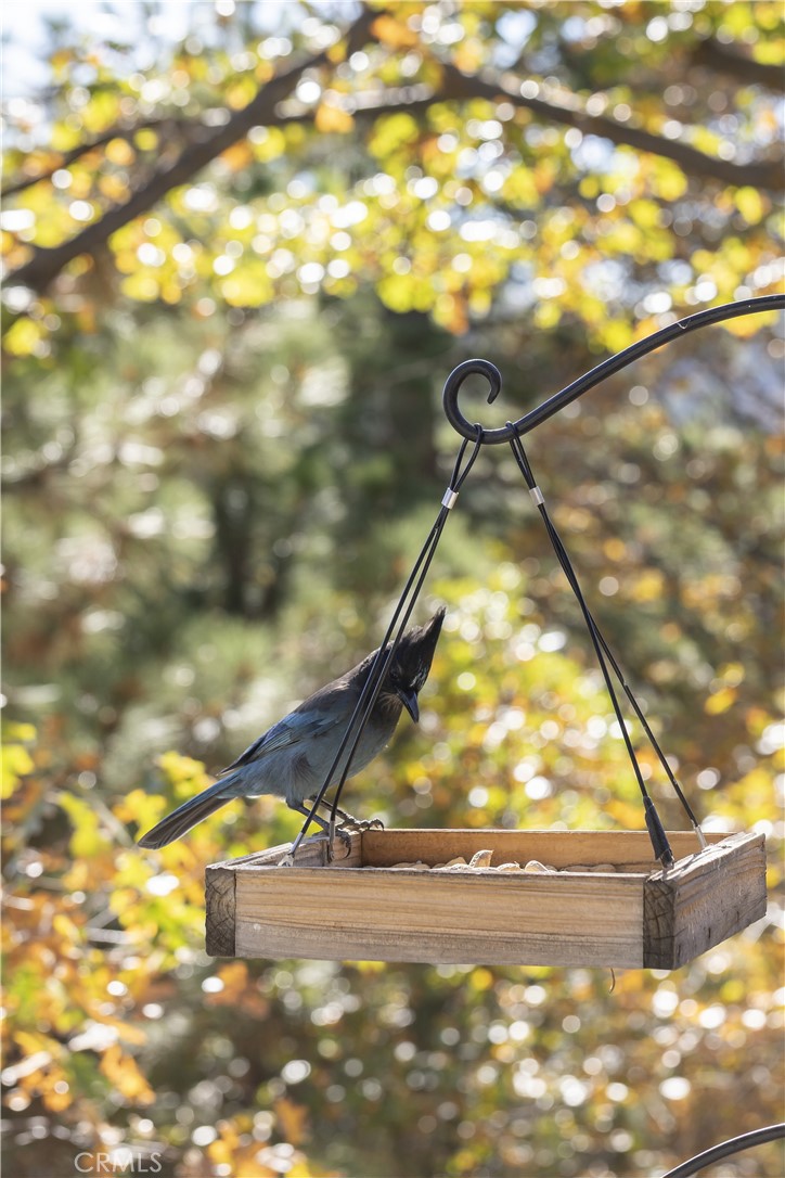 Arrowhead Woods (AWHW) - Residential