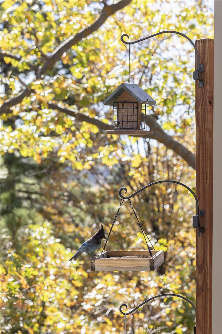 Arrowhead Woods (AWHW) - Residential