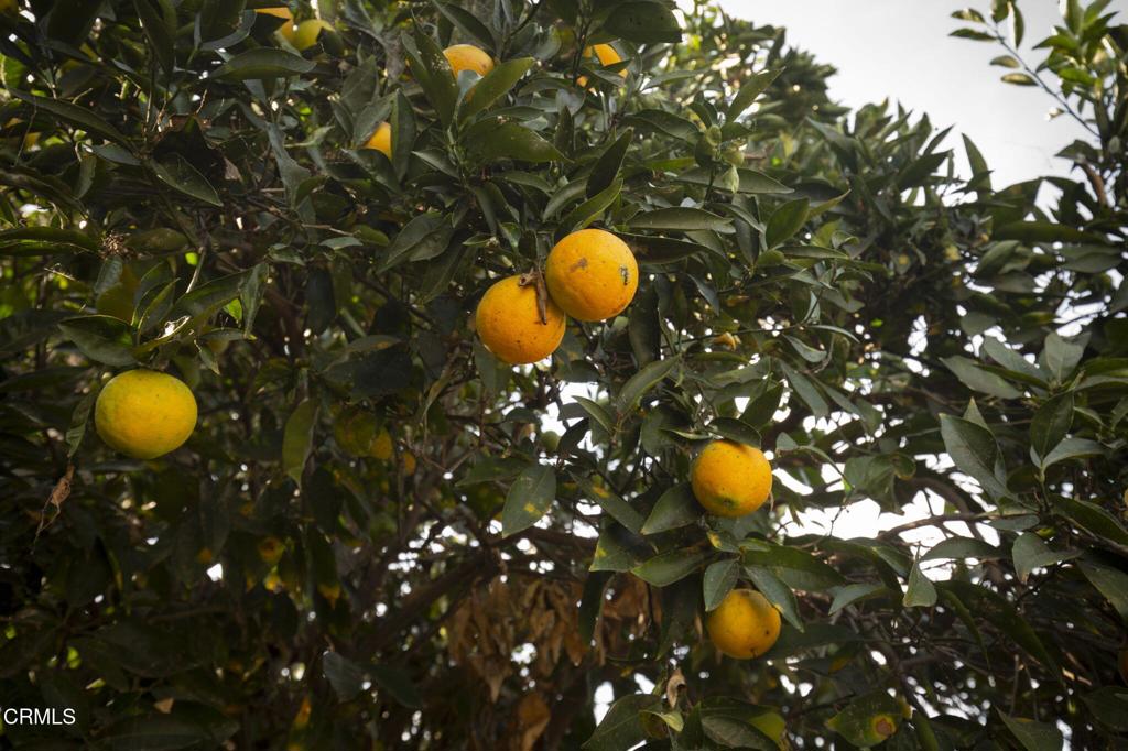 Not Applicable - Residential Income